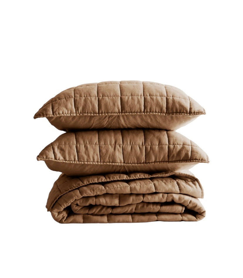 fundas y almohada de una cubrecama